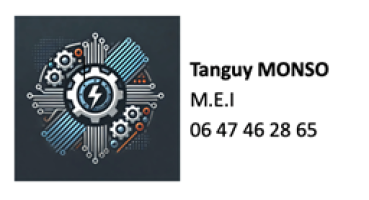 tanguy monso